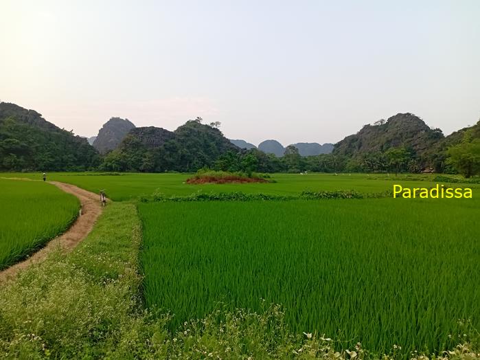 Family holiday in Ninh Binh Vietnam