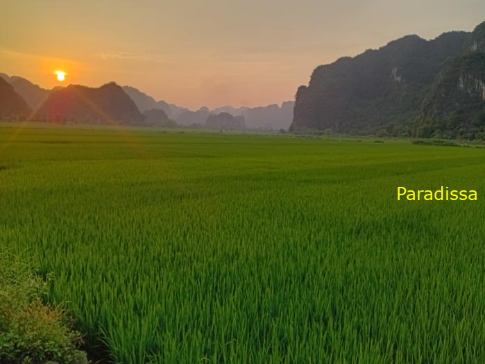 Family holiday in Ninh Binh Vietnam