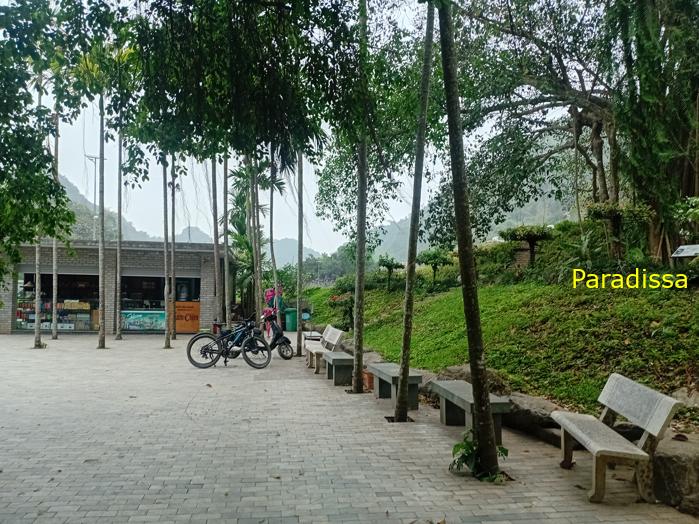 Travel guide to the Thung Nham Bird Valley in Ninh Binh, Vietnam Travel guide to the Thung Nham Bird Valley in Ninh Binh, Vietnam
