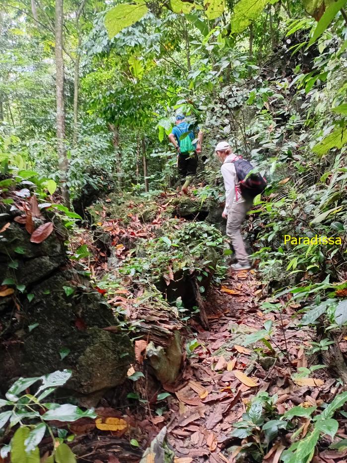 Trekking and hiking at the Cuc Phuong National Park in Ninh Binh, Vietnam Trekking and hiking at the Cuc Phuong National Park in Ninh Binh, Vietnam