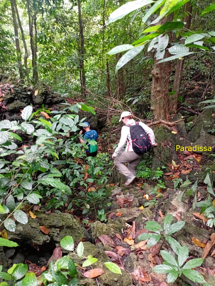 Trekking and hiking at the Cuc Phuong National Park in Ninh Binh, Vietnam Trekking and hiking at the Cuc Phuong National Park in Ninh Binh, Vietnam