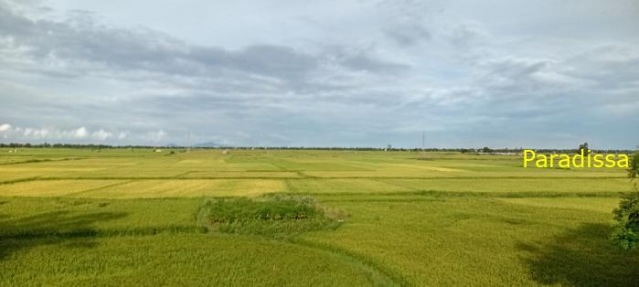 Travel guide to Quang Nam, Vietnam Travel guide to Quang Nam, Vietnam