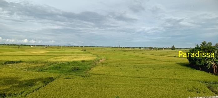 Travel guide to Quang Nam, Vietnam Travel guide to Quang Nam, Vietnam