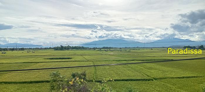 Travel guide to Quang Nam, Vietnam Travel guide to Quang Nam, Vietnam