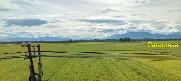 Travel guide to Quang Nam, Vietnam Travel guide to Quang Nam, Vietnam