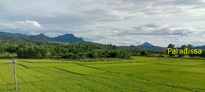 Travel guide to Quang Nam, Vietnam Travel guide to Quang Nam, Vietnam