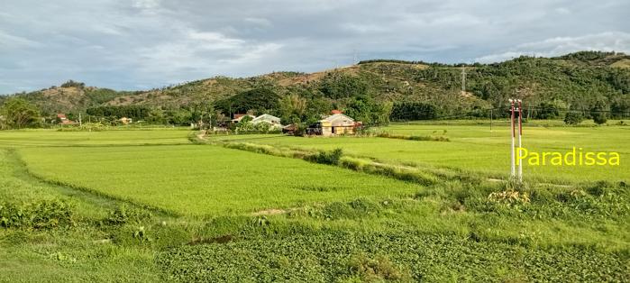 Travel guide to Quang Nam, Vietnam Travel guide to Quang Nam, Vietnam