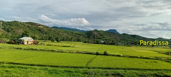 Travel guide to Quang Nam, Vietnam Travel guide to Quang Nam, Vietnam