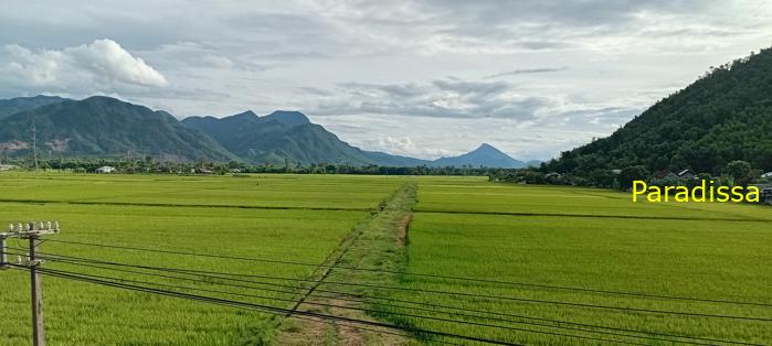 Travel guide to Quang Nam, Vietnam Travel guide to Quang Nam, Vietnam
