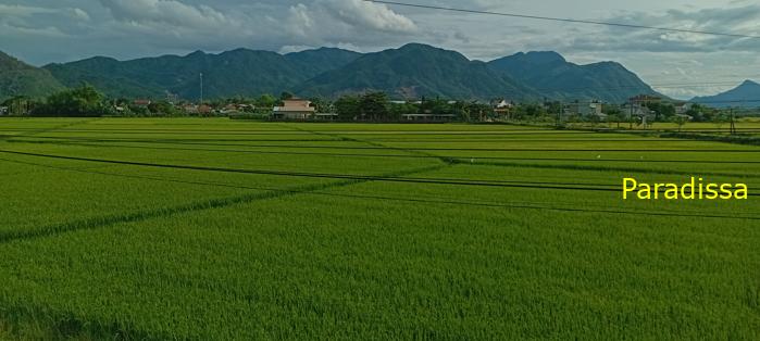 Travel guide to Quang Nam, Vietnam Travel guide to Quang Nam, Vietnam
