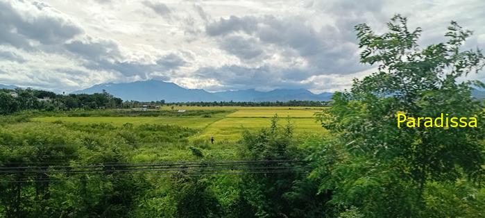 Travel guide to Quang Nam, Vietnam Travel guide to Quang Nam, Vietnam