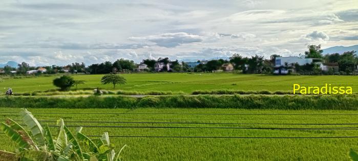 Travel guide to Quang Nam, Vietnam Travel guide to Quang Nam, Vietnam