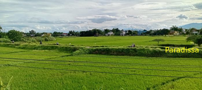 Travel guide to Quang Nam, Vietnam Travel guide to Quang Nam, Vietnam