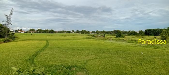 Travel guide to Quang Nam, Vietnam Travel guide to Quang Nam, Vietnam