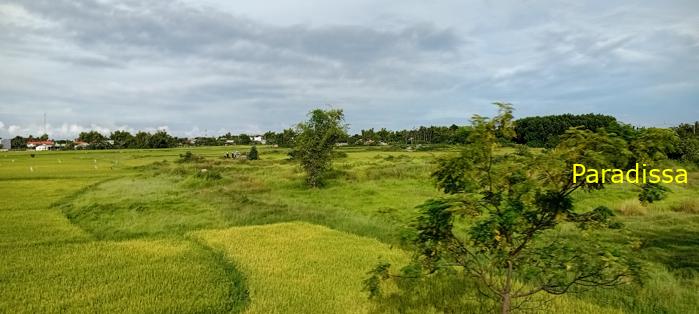 Travel guide to Quang Nam, Vietnam Travel guide to Quang Nam, Vietnam