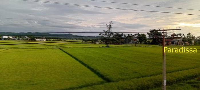 Travel guide to Quang Ngai Province, Vietnam Travel guide to Quang Ngai Province, Vietnam