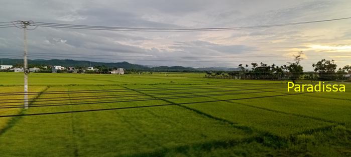 Travel guide to Quang Ngai Province, Vietnam Travel guide to Quang Ngai Province, Vietnam