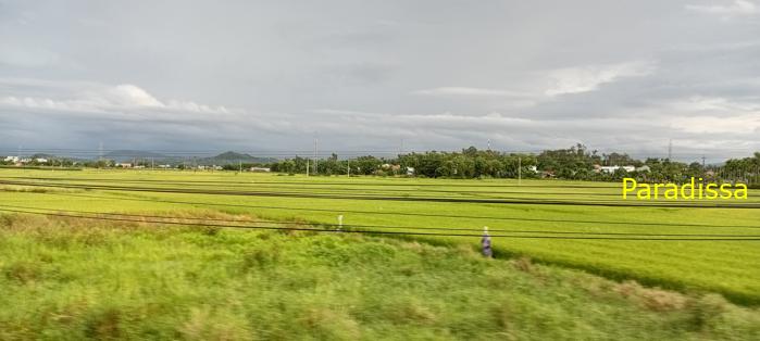 Travel guide to Quang Ngai Province, Vietnam Travel guide to Quang Ngai Province, Vietnam