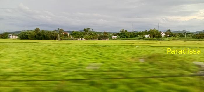 Travel guide to Quang Ngai Province, Vietnam Travel guide to Quang Ngai Province, Vietnam