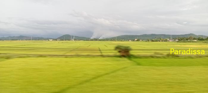 Travel guide to Quang Ngai Province, Vietnam Travel guide to Quang Ngai Province, Vietnam