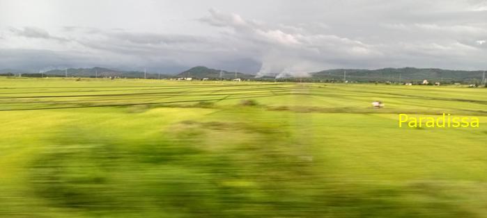 Travel guide to Quang Ngai Province, Vietnam Travel guide to Quang Ngai Province, Vietnam