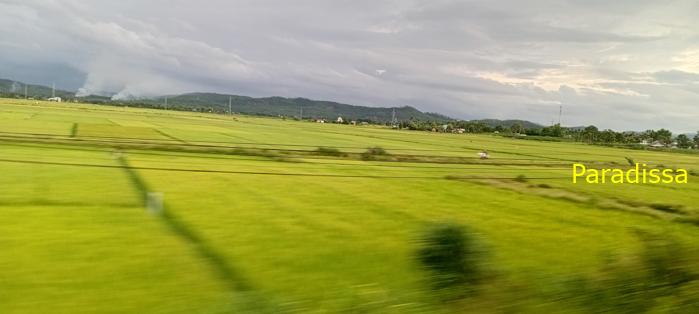 Travel guide to Quang Ngai Province, Vietnam Travel guide to Quang Ngai Province, Vietnam