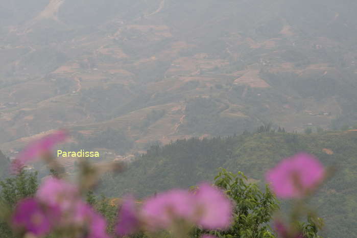 It can get very foggy and misty in Sapa