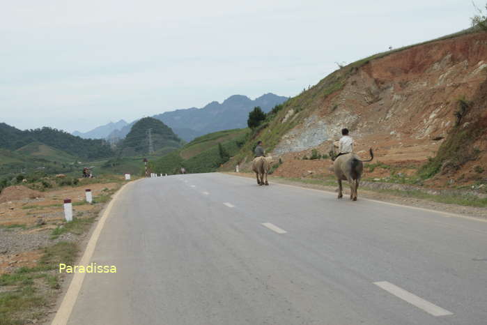 Route 6 at Moc Chau Plateau via which we can travel from Hanoi through Hoa Binh, Son La to Dien Bien Phu