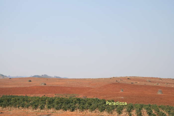 Red soil at Mai Son, Son La where coffee grows