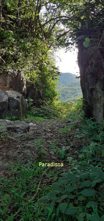 The Heavenly Gate at Pu Luong where we enter the dense forest from the outer thin forest