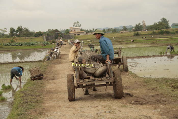 Vivid country life at the Ho Family Citadel at Vinh Loc District, Thanh Hoa Province, Vietnam