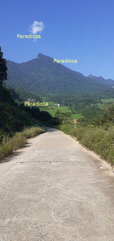 The Pu Luong Mountain Peak