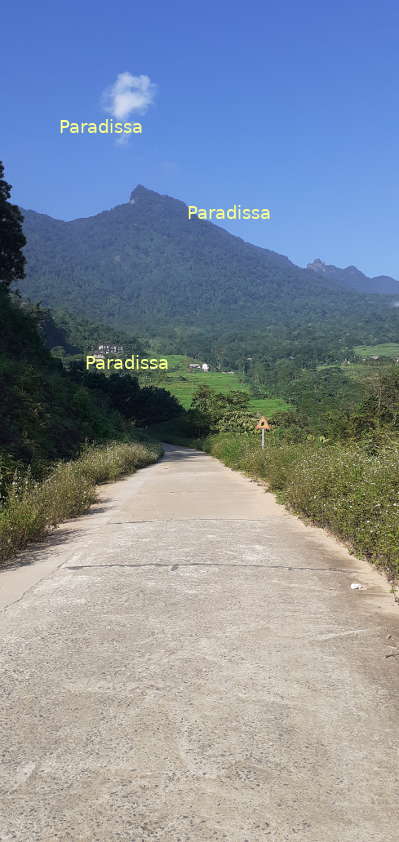 The peak of the Pu Luong Mountain which is 1,700m above sea level