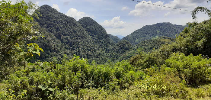 Mountains and forests on top of the Pu Luong Nature Reserve in Thanh Hoa Province