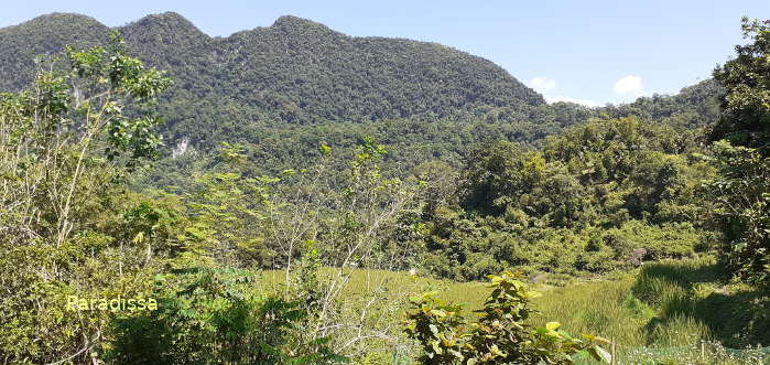 Sometimes there are mountain views from our trekking trail today