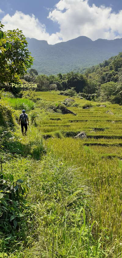 Our trekking trail on Day2 with mountain and forest views