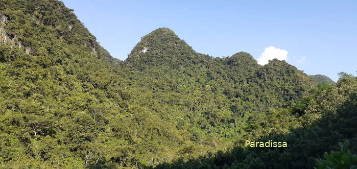 Some nice mountain views from our trekking trail today