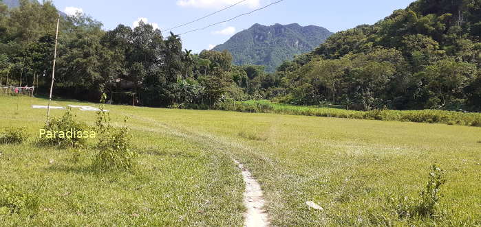 After the Nam Trong Village, we come to a lovely lawn where we could have picnic lunch today