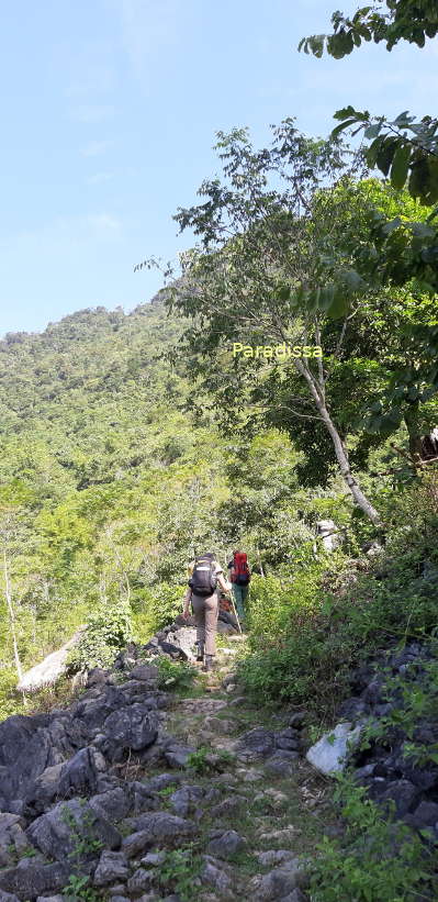 Trekking amid the heavenly landscape at the Pu Luong Nature Reserve