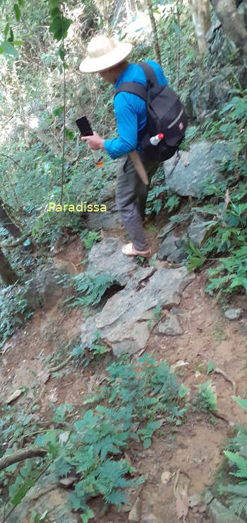 A trekking trail at the Pu Luong Nature Reserve