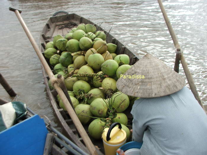 A boat selling coconuts at the Cai Be Floating Market on the Mekong River in Tien Giang Province Vietnam