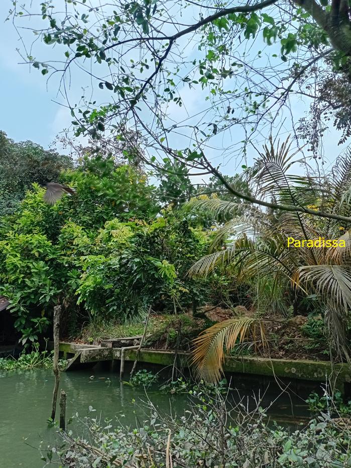 A family trip to Cai Be, Tien Giang Province in southern Vietnam