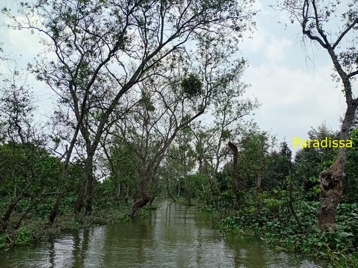 A family trip to Cai Be, Tien Giang Province in southern Vietnam