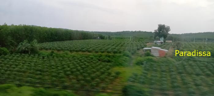 Vietnam Rail Tour Northbound Vietnam Rail Tour Northbound