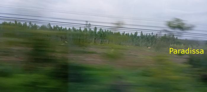 Vietnam Rail Tour Northbound Vietnam Rail Tour Northbound