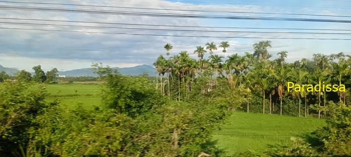 Vietnam Rail Tour Northbound Vietnam Rail Tour Northbound