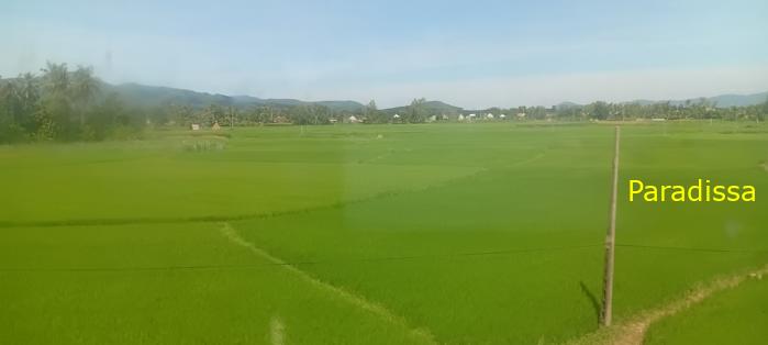 Vietnam Reunification Express Train Tour