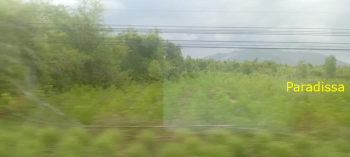Vietnam Reunification Express Train Tour