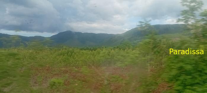 Vietnam Reunification Express Train Tour