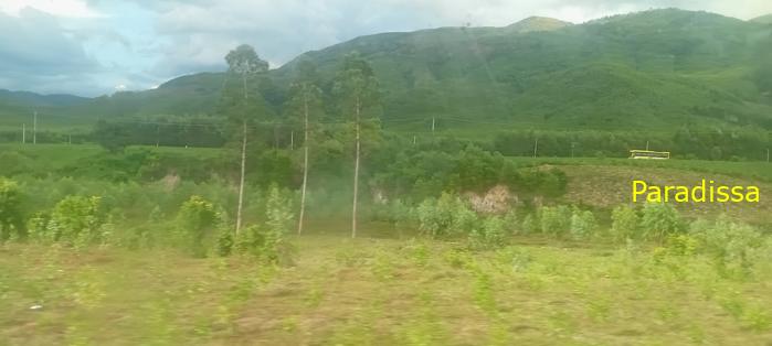 Vietnam Reunification Express Train Tour